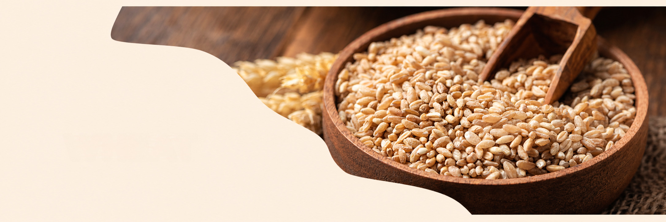 Wheat