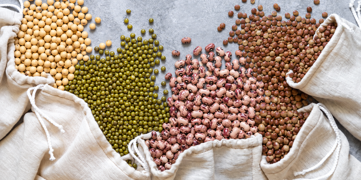 Quality Grains and Pulses, Backed by Decades of Experience