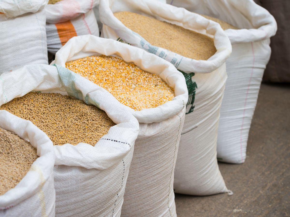 Food Grain Wholesalers in Hubli – Munavalli & Co. Offering a Wide Range of Grains and Pulses